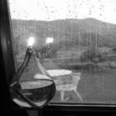 yz: D:\work\Image decomposition works\RainRemoval\Window_Raining.jpg_Rain.jpg