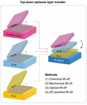 Top-down epitaxial layer transfer