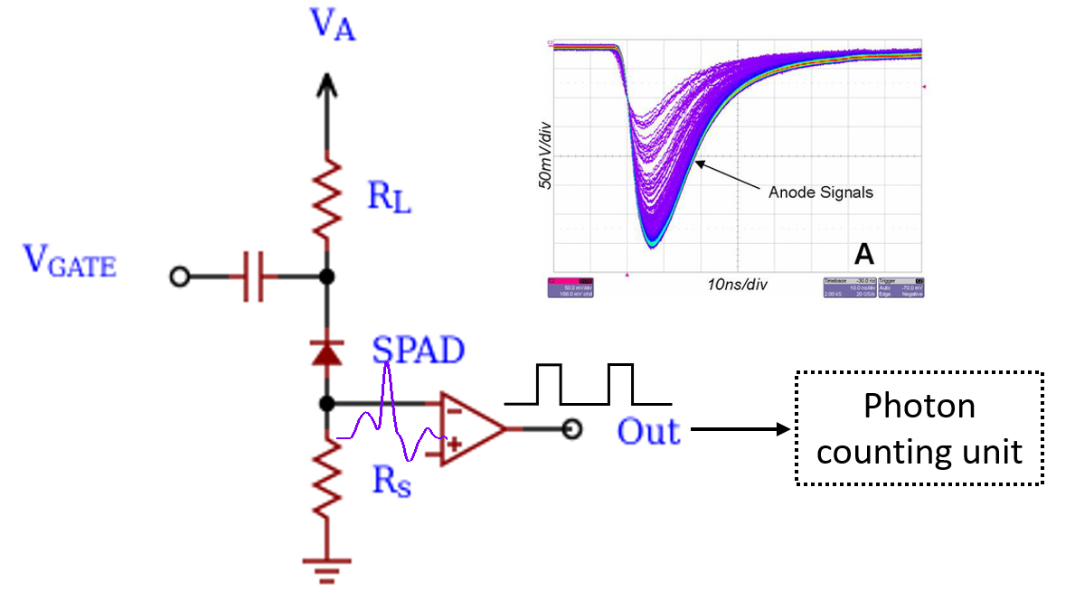 SPD Circuit